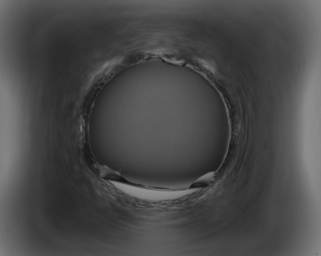 X0000086021398200704131839