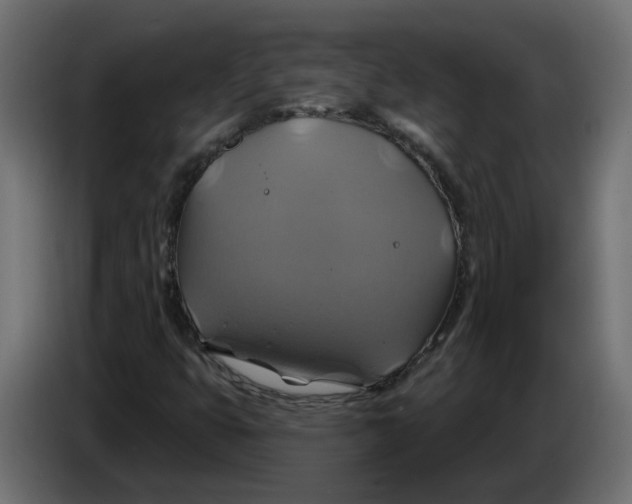 X0000086021399200704131839