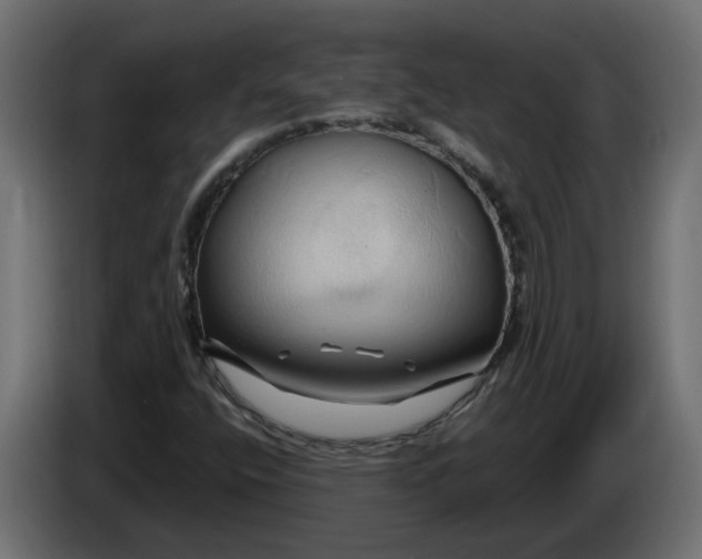 X0000086021400200704131839