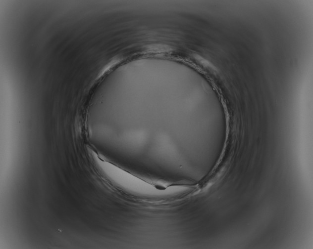 X0000086021401200704131839