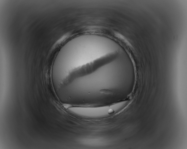 X0000086021403200704131839