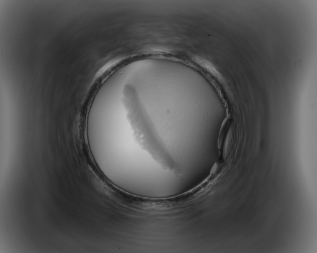 X0000086021404200704131839