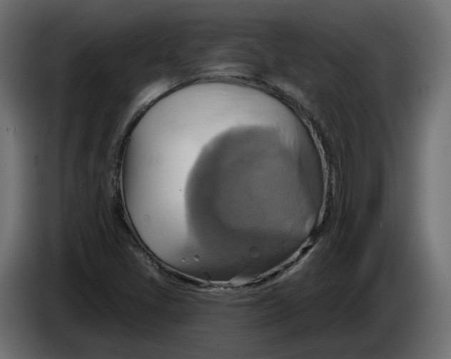 X0000086021405200704131839