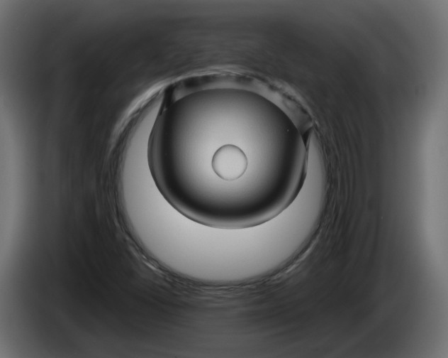 X0000086021406200704131839