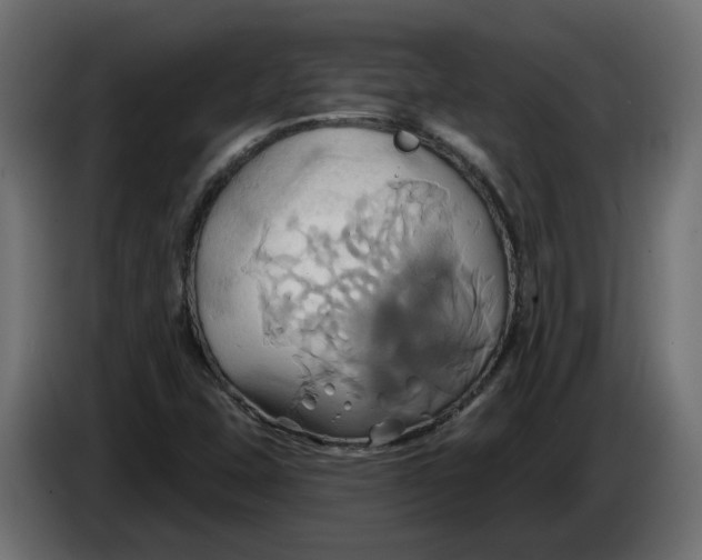 X0000086021407200704131839