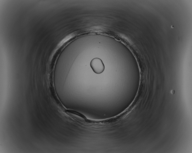 X0000086021410200704131839