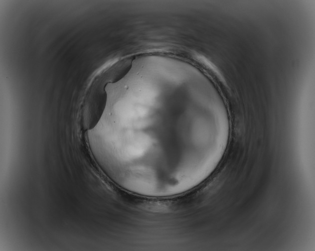 X0000086021411200704131839