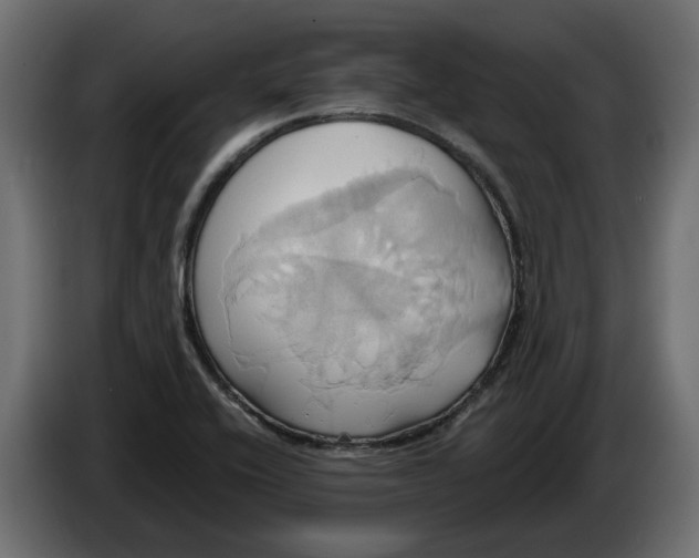 X0000086021416200704131840