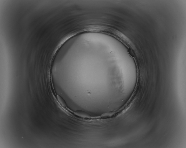X0000086021417200704131840