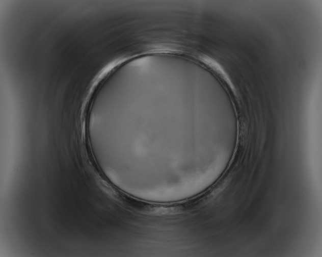 X0000086021419200704131840