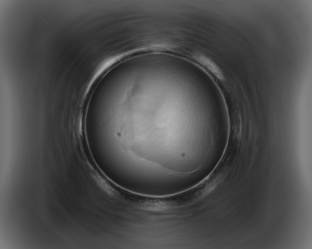 X0000086021420200704131840