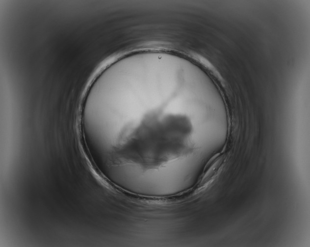 X0000086021421200704131840