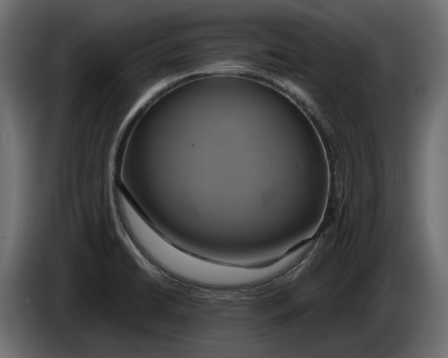 X0000086021422200704131840