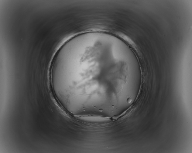 X0000086021423200704131840