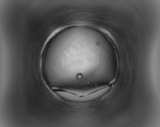X0000086021424200704131840