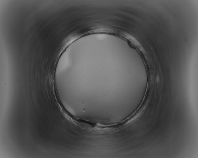 X0000086021425200704131840