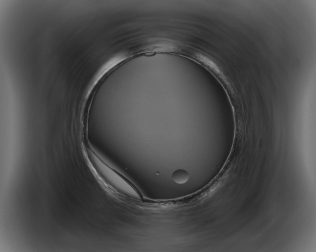 X0000086021426200704131840