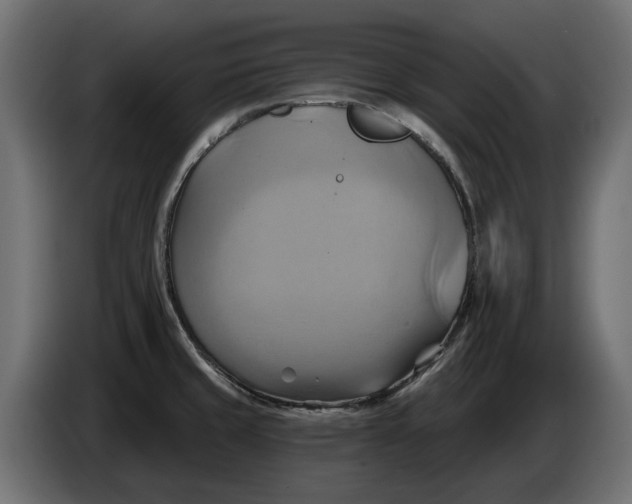 X0000086021429200704131840