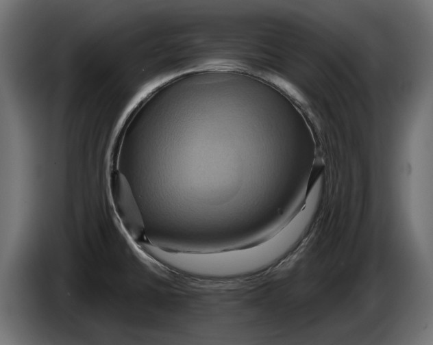 X0000086021430200704131840
