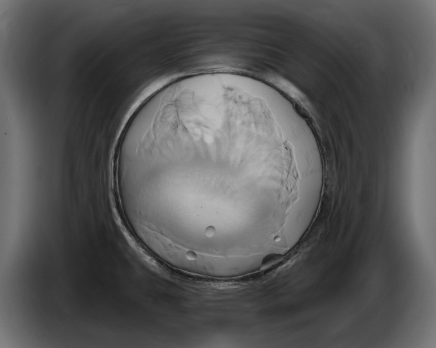 X0000086021431200704131840