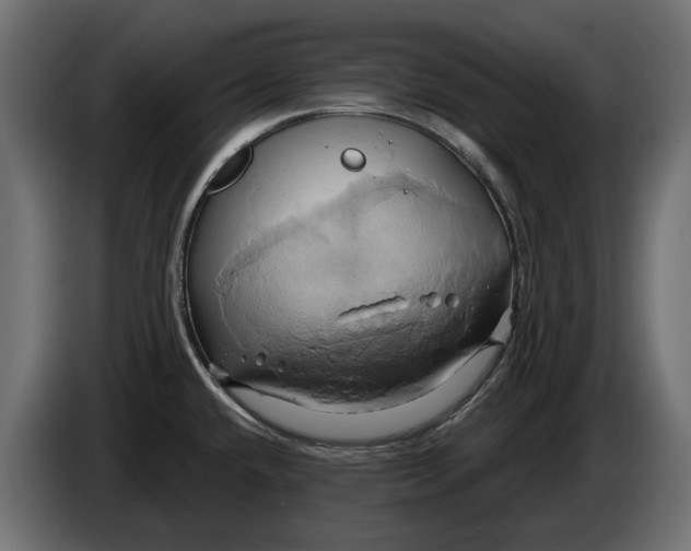 X0000086021432200704131840