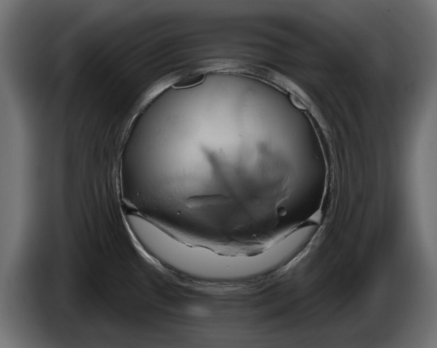 X0000086021433200704131840