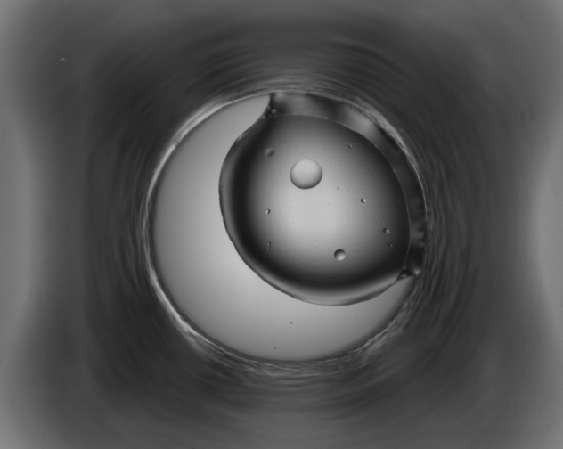 X0000086021434200704131840