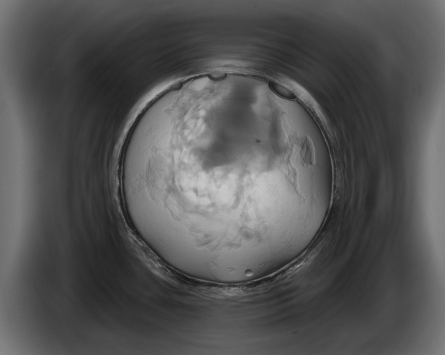 X0000086021435200704131840