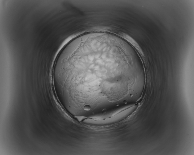 X0000086021436200704131840