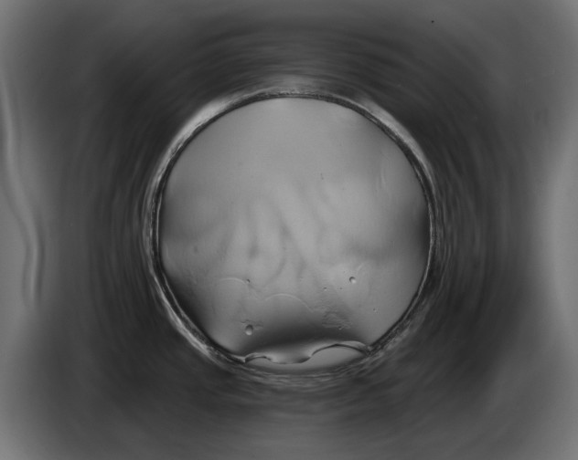 X0000086021437200704131840