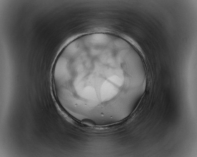 X0000086021439200704131840
