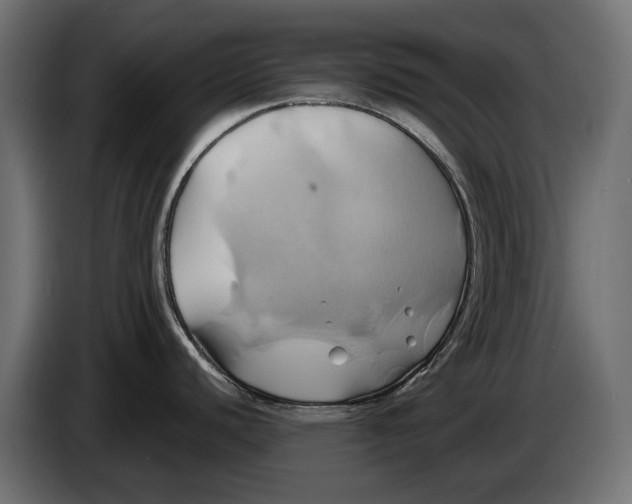 X0000086021440200704131840