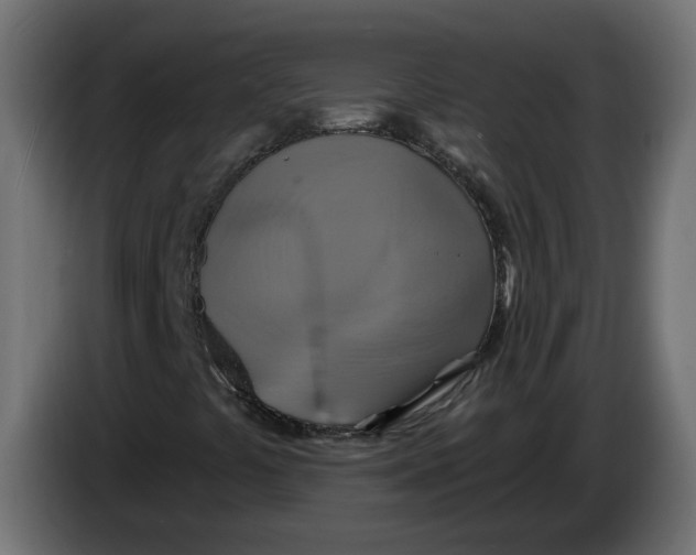 X0000086021441200704131839