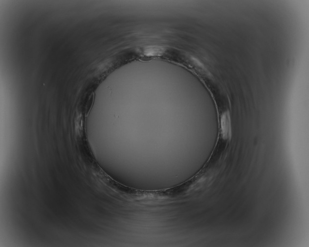 X0000086021443200704131839