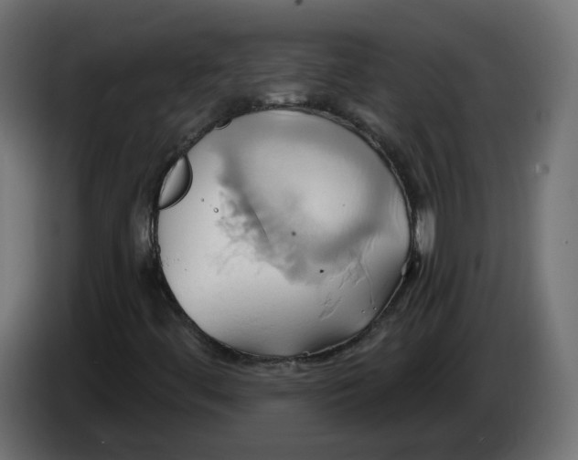 X0000086021444200704131839