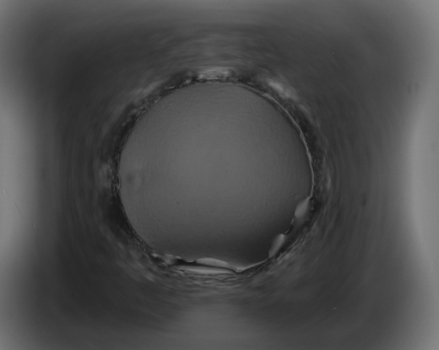 X0000086021445200704131839
