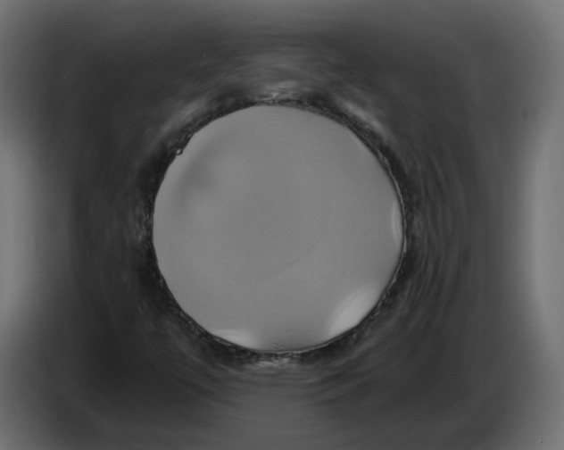 X0000086021447200704131839