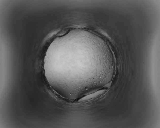X0000086021448200704131839