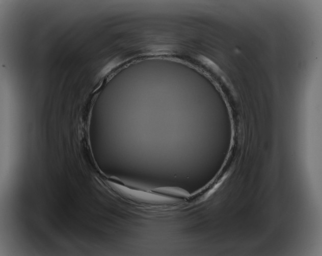 X0000086021449200704131839