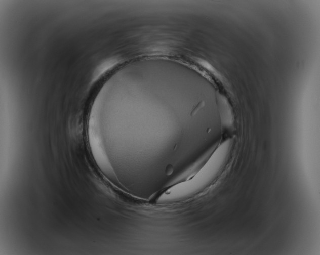 X0000086021450200704131839