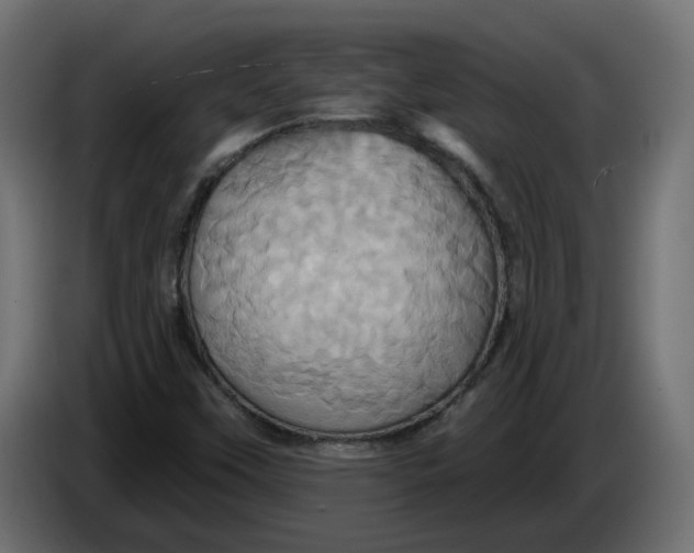 X0000086021451200704131839