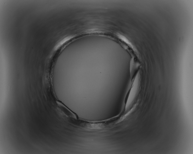 X0000086021453200704131839