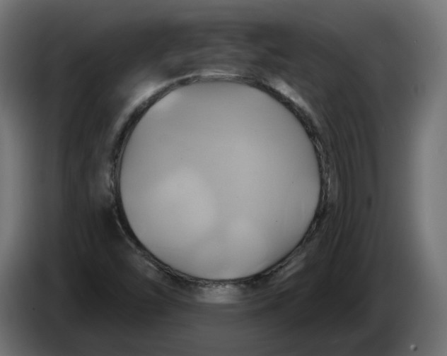 X0000086021454200704131839
