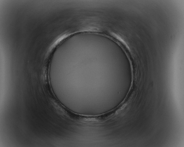 X0000086021455200704131839