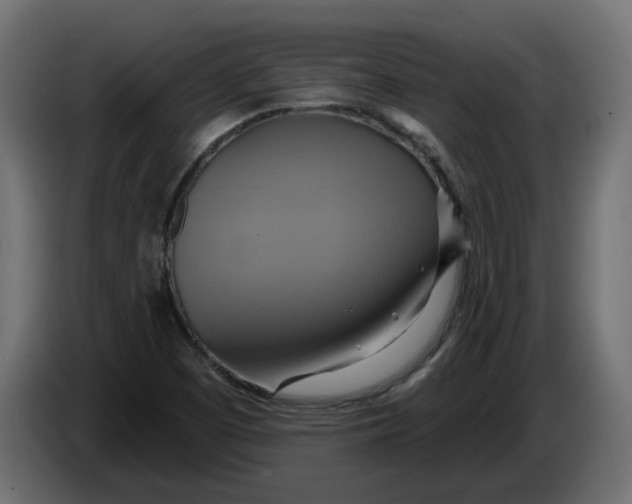 X0000086021457200704131839