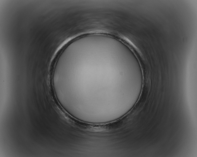 X0000086021460200704131839