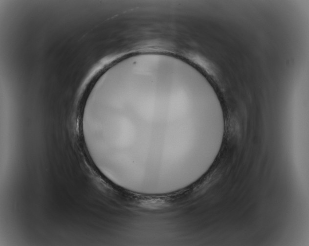 X0000086021462200704131839