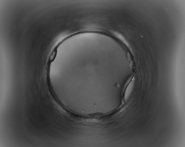 X0000086021463200704131839