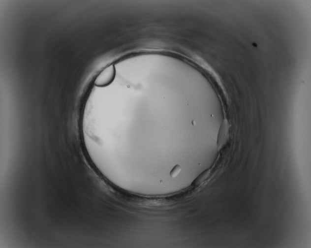 X0000086021464200704131839