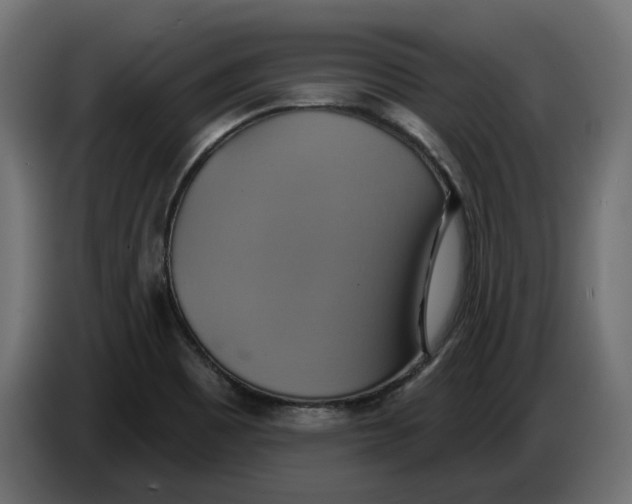 X0000086021465200704131839